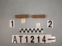 藏品(竹管耳飾)的圖片